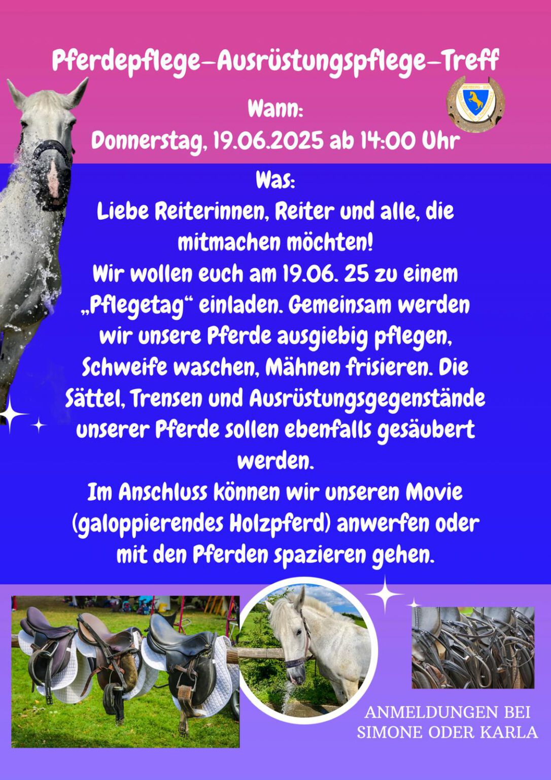 Pferdepflege
