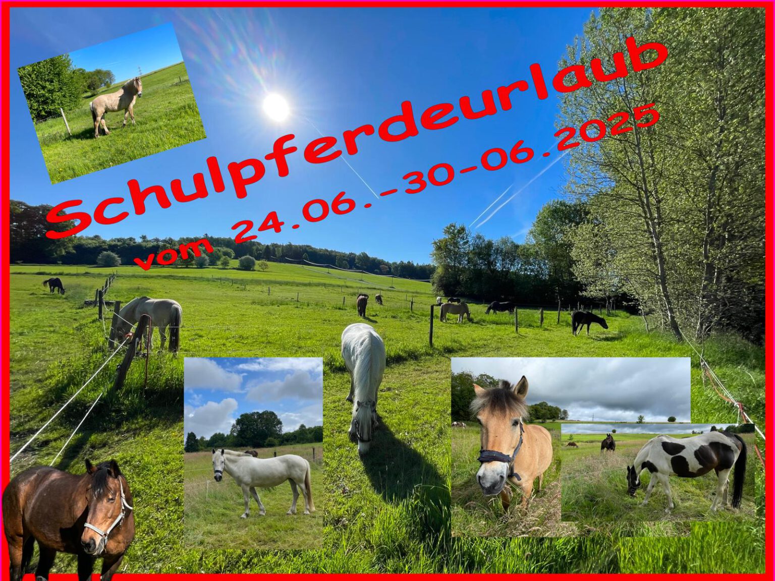 Schulpferde Urlaub